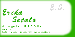 erika setalo business card